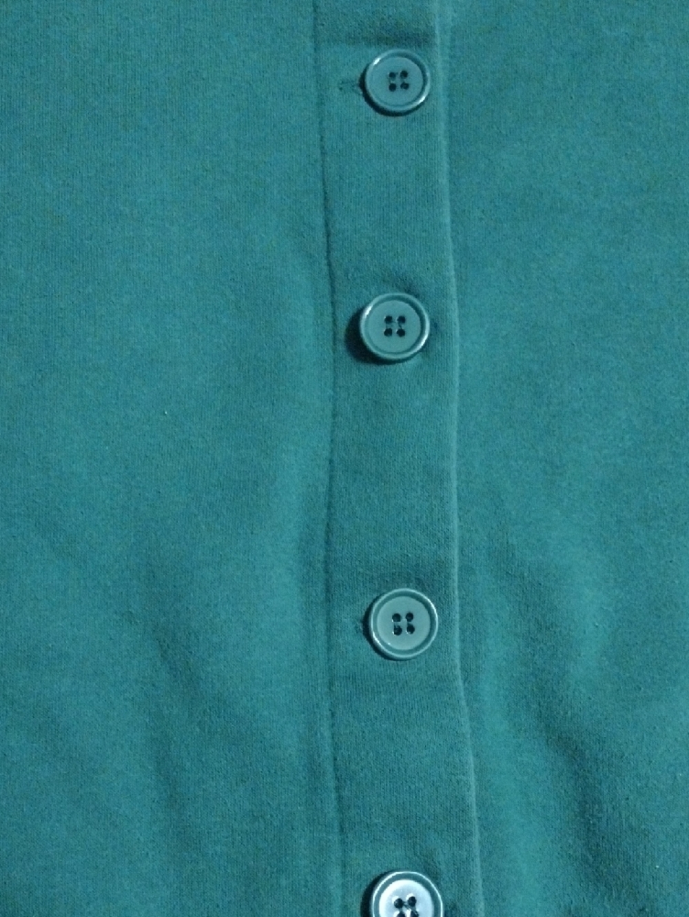 Speculation Green Button-Up Cardigan with Sunflower & Pumpkin Embroidery - Picture 5 of 11